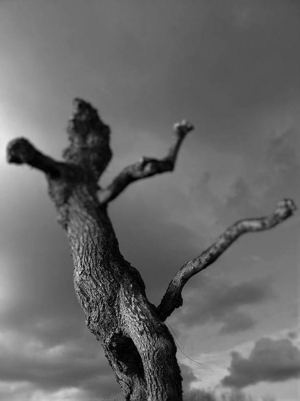 Slideshow image